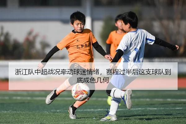 浙江队中超战况牵动球迷情绪，赛程过半后这支球队到底成色几何
